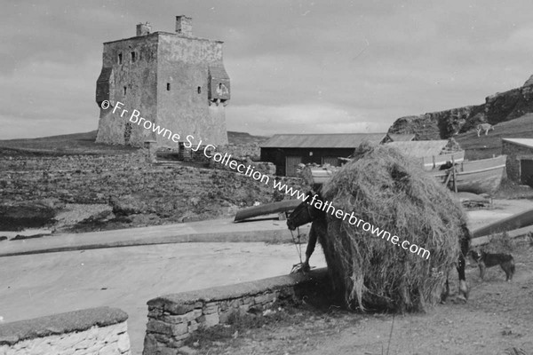 CASTLE, PONY AND HAY